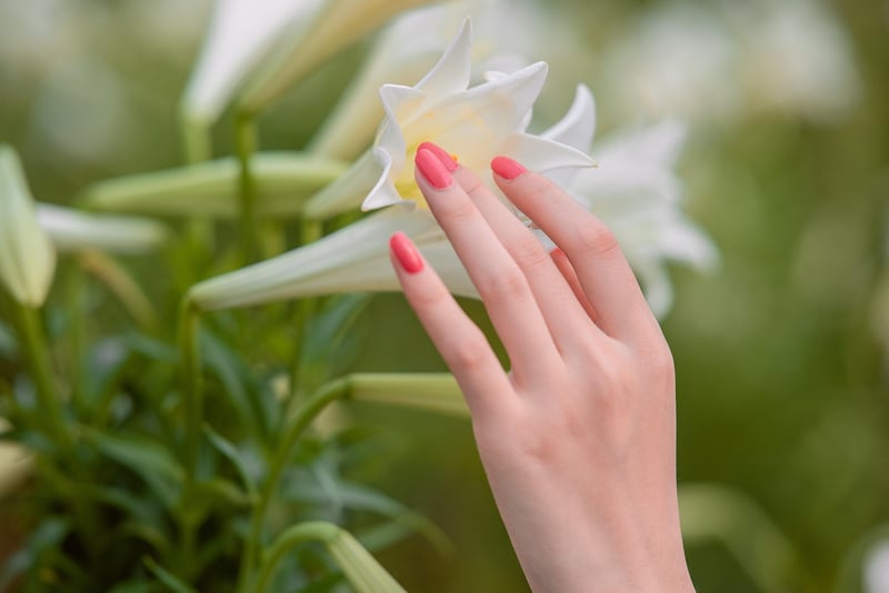 Garden Elegance